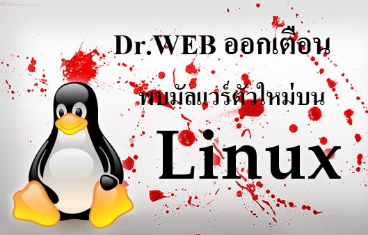 Dr.WEB ประกาศเตือนมัลแวร์ตัวใหม่บน Linux ถ่ายรูปหน้าจอส่งแฮ็คเกอร์ทุก 30 วินาที